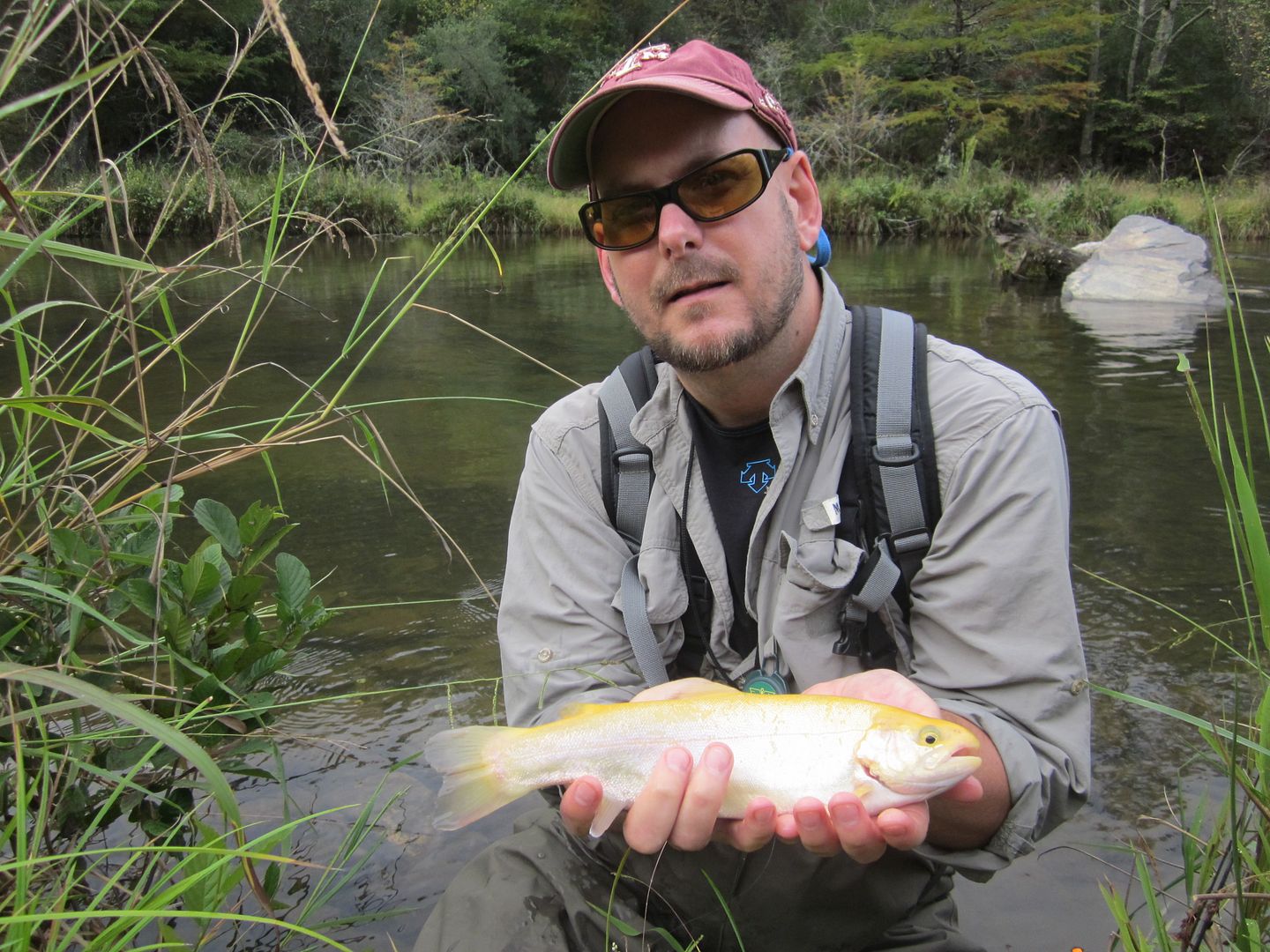 Lower Mt Fork River Fishing Guide Report with Video and Pictures